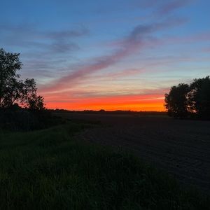 Meet your Posher, Ashlyn